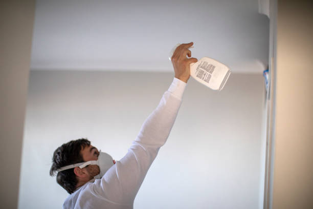 Best Fast Mold Removal  in Morgandale, OH