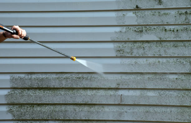 Best Attic Mold Removal  in Morgandale, OH